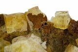 Yellow Cubic Fluorite Crystal Cluster on Matrix - Morocco #347775-1
